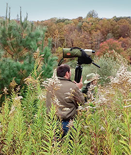 birders in bean field