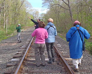 Birders Cromwell RR tracks