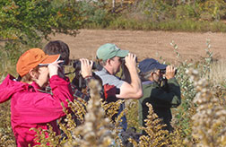 2013 at the "bean field"