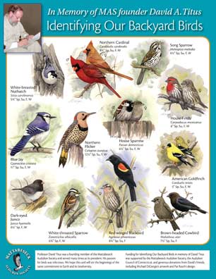 Bird ID card