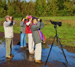 Wangunk Birders